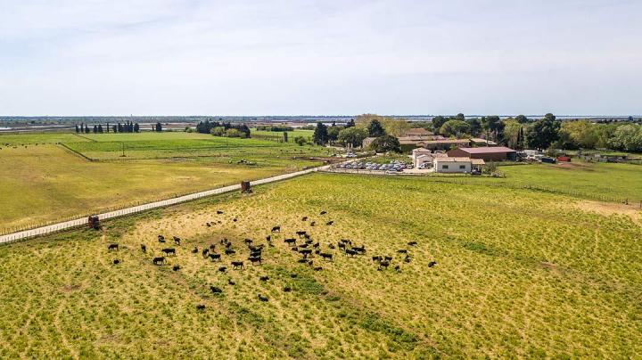 Organisateur de réception Aigues-Mortes