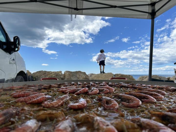Paella dans le marché local Aigues-Mortes